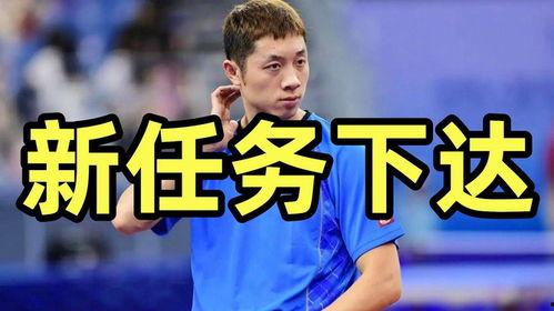 许昕最新爆料,我的乒乓球生涯幕后故事与心路历程”  第1张